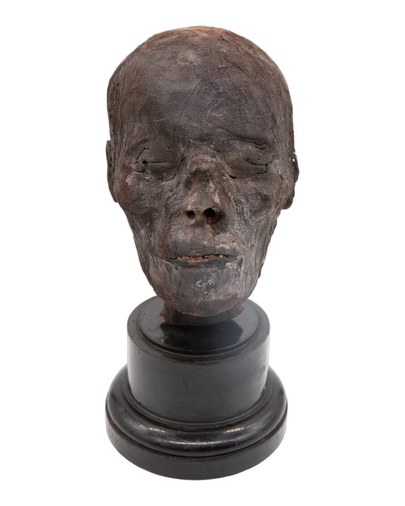 Ancient Egyptian Mummy Head (circa 775BC)