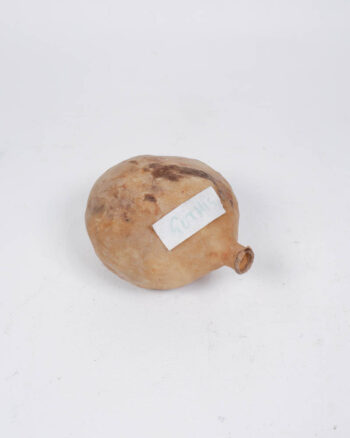 Dried Natural Gourd