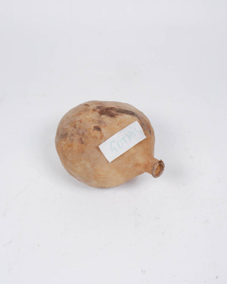 Dried Natural Gourd