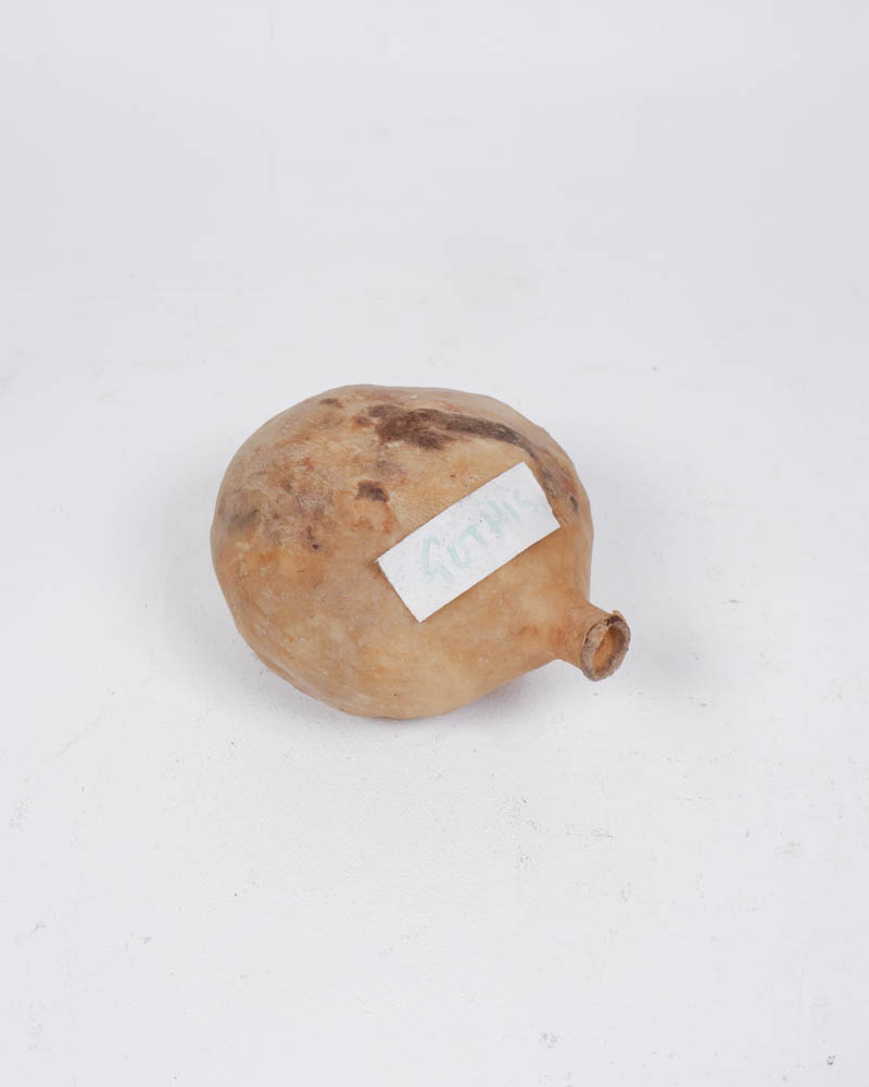 Dried Natural Gourd