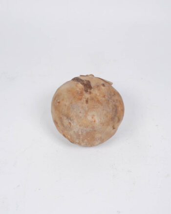 Dried Natural Gourd