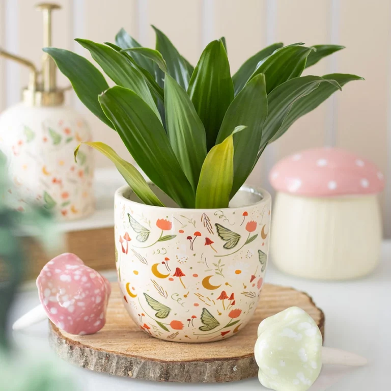 Cream Ceramic Fairy Folklore Plant Pot