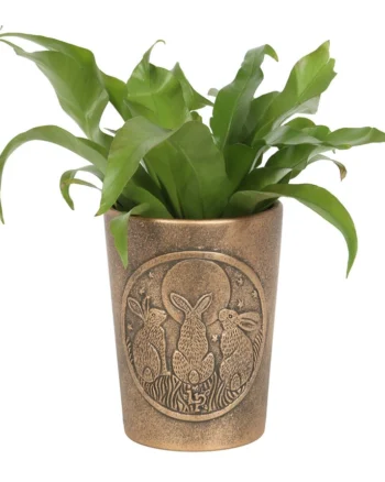 Moon Shadows Bronze Terracotta Plant Pot