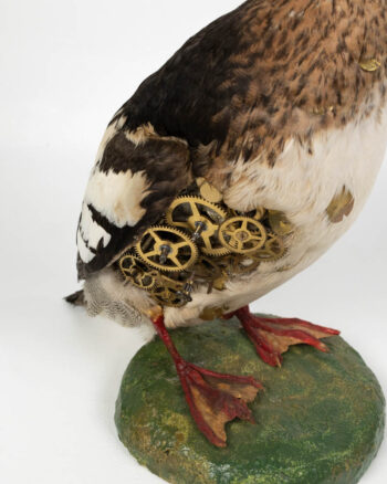 Taxidermy Bird Sculpture with Brass Clockwork Detail