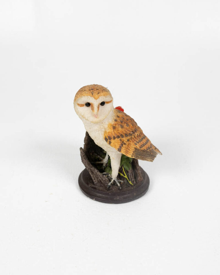Border Fine Arts Barn Owl Figurine with Flower Accent