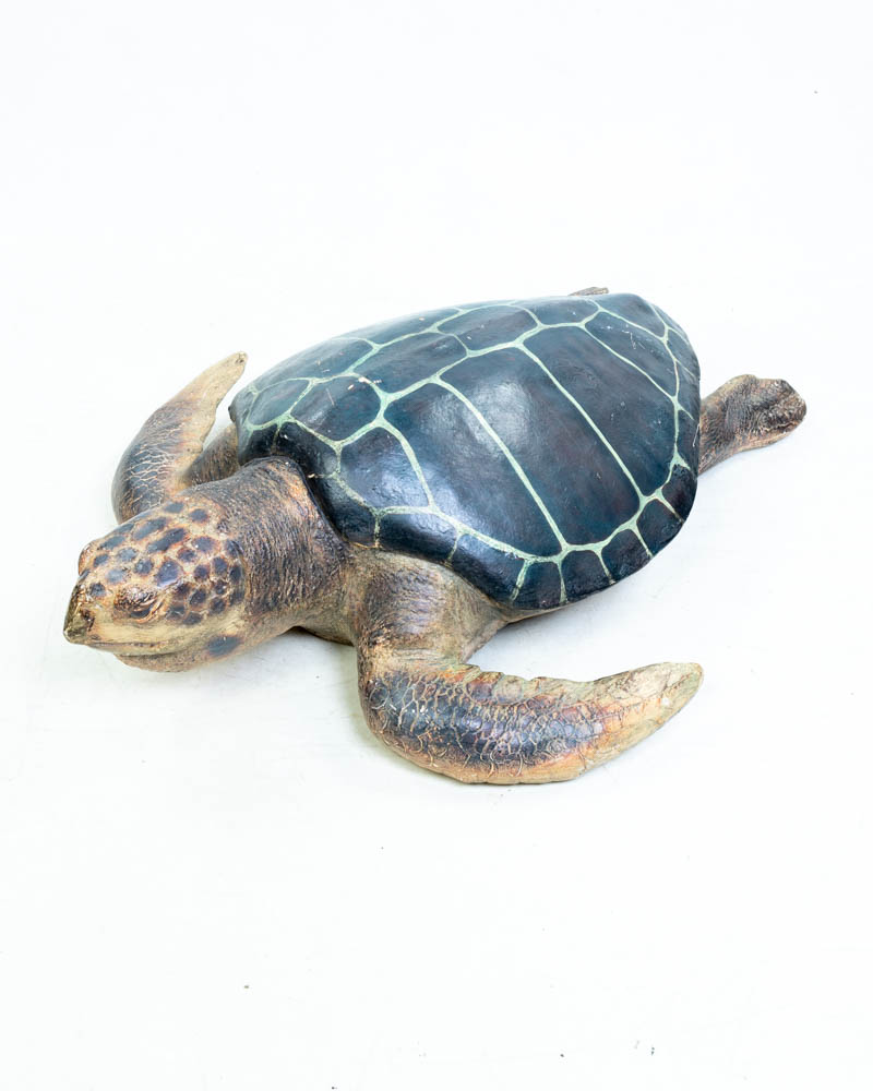 Aquarium Display Turtle (4ft)