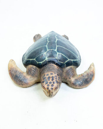 Aquarium Display Turtle (4ft)