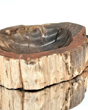 Fossil Wood Bowl from Madagascar 248 Million Years Old