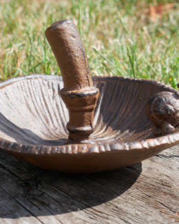 Mushroom Bird Feeder with Snail Detail