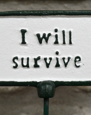 Cast Iron Garden Sign with ‘I Will Survive’ Inscription
