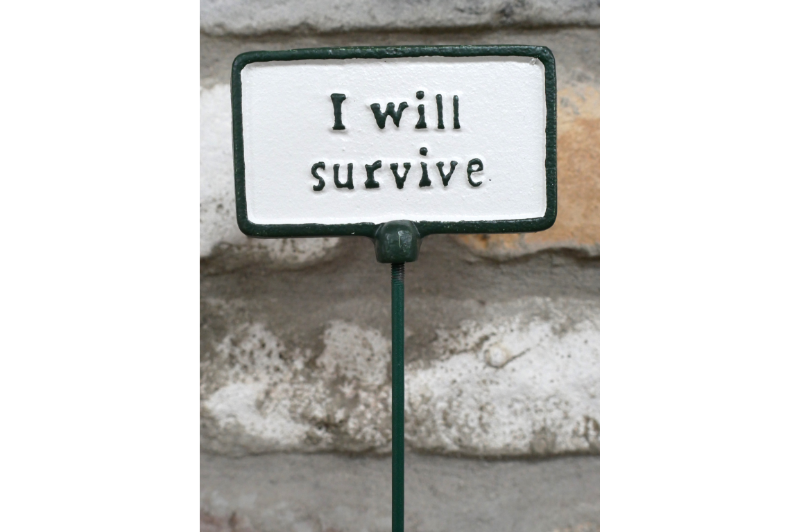 Cast Iron Garden Sign with ‘I Will Survive’ Inscription