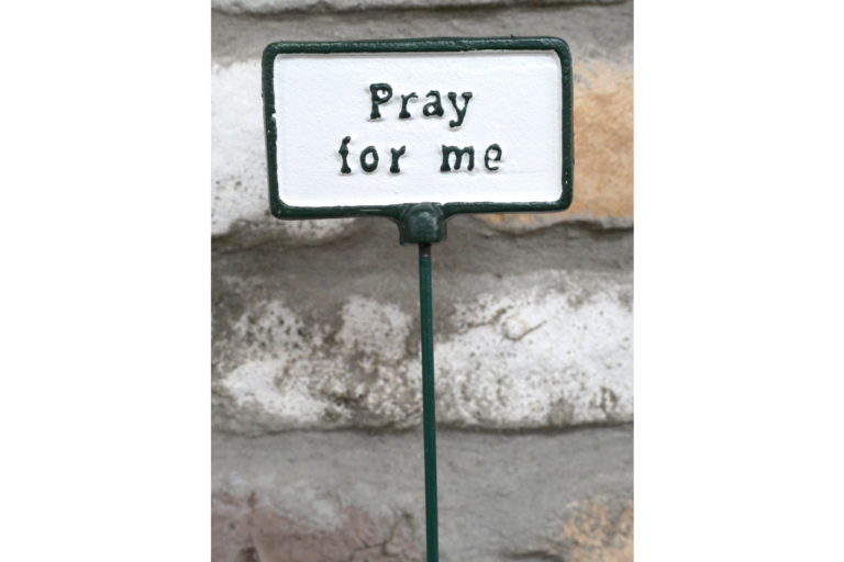 Cast Iron 'Pray for Me' Garden Stake Sign