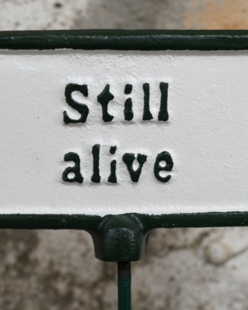 Cast Iron ‘Still Alive’ Plant Marker Sign