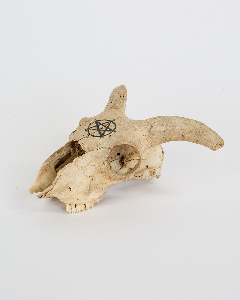 Goat Skull with Horns and Hand-Drawn Pentagram Symbol