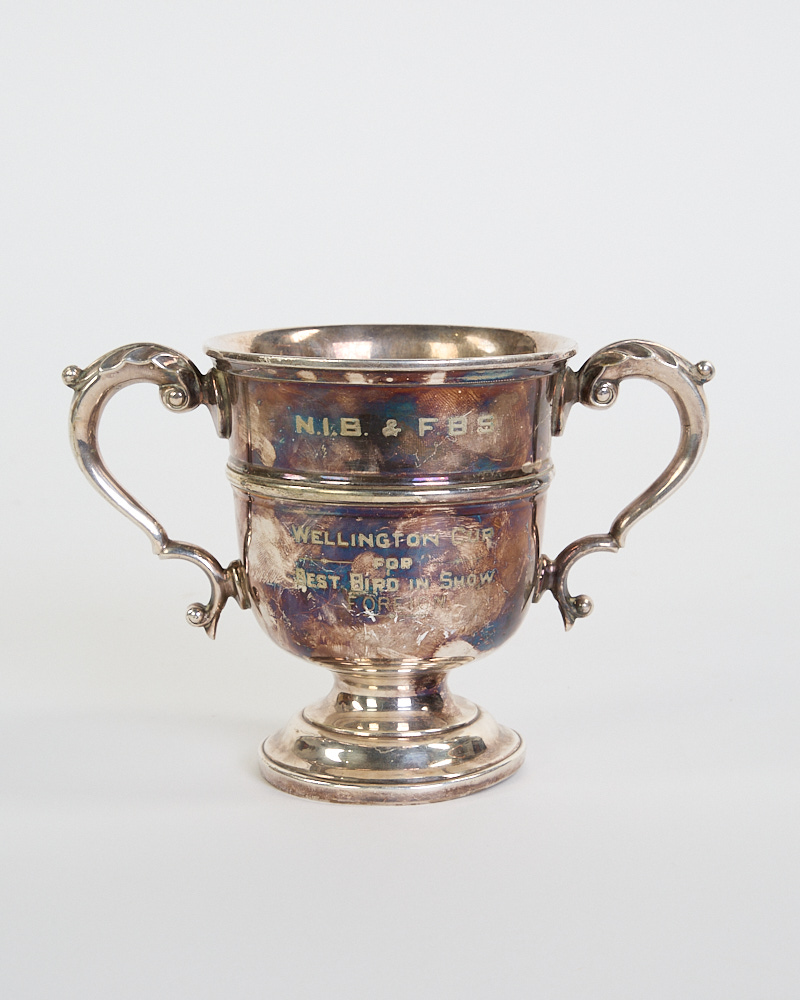 Vintage Silver Plated Trophy Cup with ‘Best Bird in Show’ Engraving