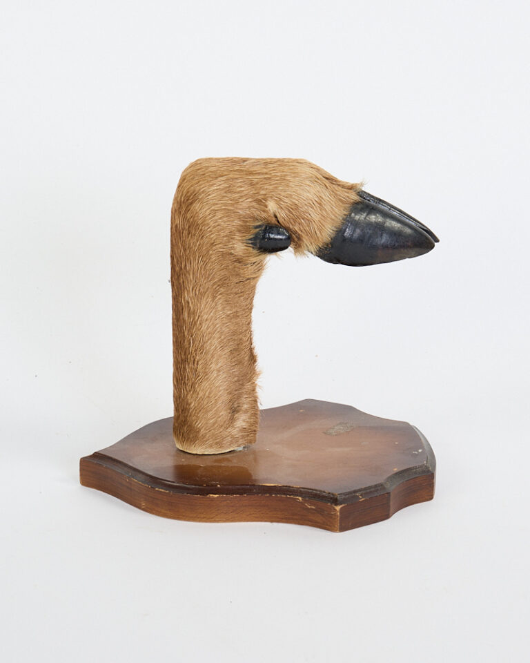 Vintage Taxidermy Deer Foot with Polished Wooden Base