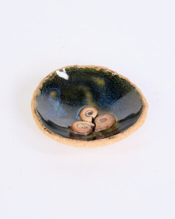 Ceramic Small Decorative Dish with Fossilised Shells