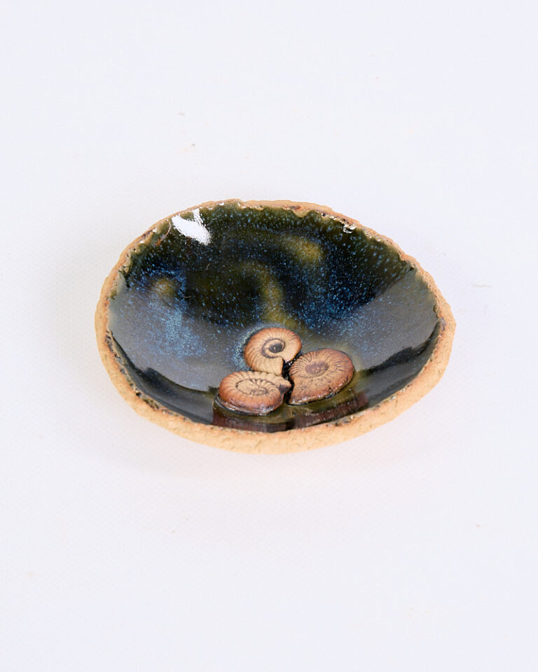 Ceramic Small Decorative Dish with Fossilised Shells