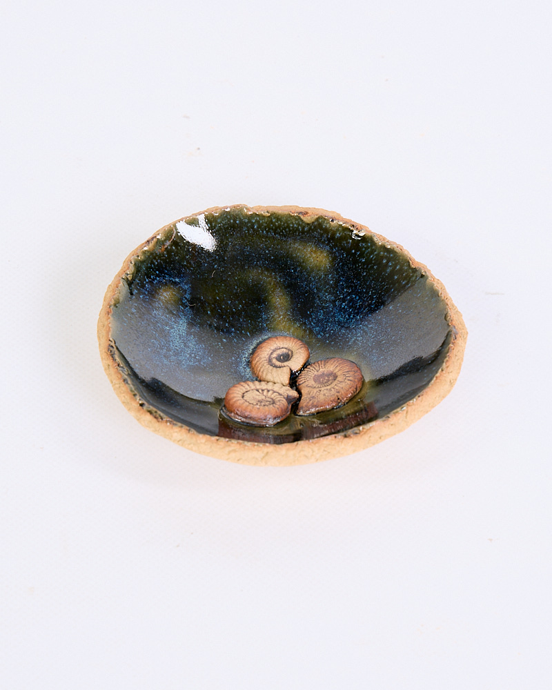 Ceramic Small Decorative Dish with Fossilised Shells