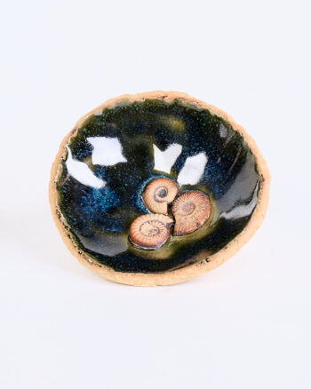 Ceramic Small Decorative Dish with Fossilised Shells