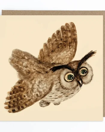 Owl Greeting Card