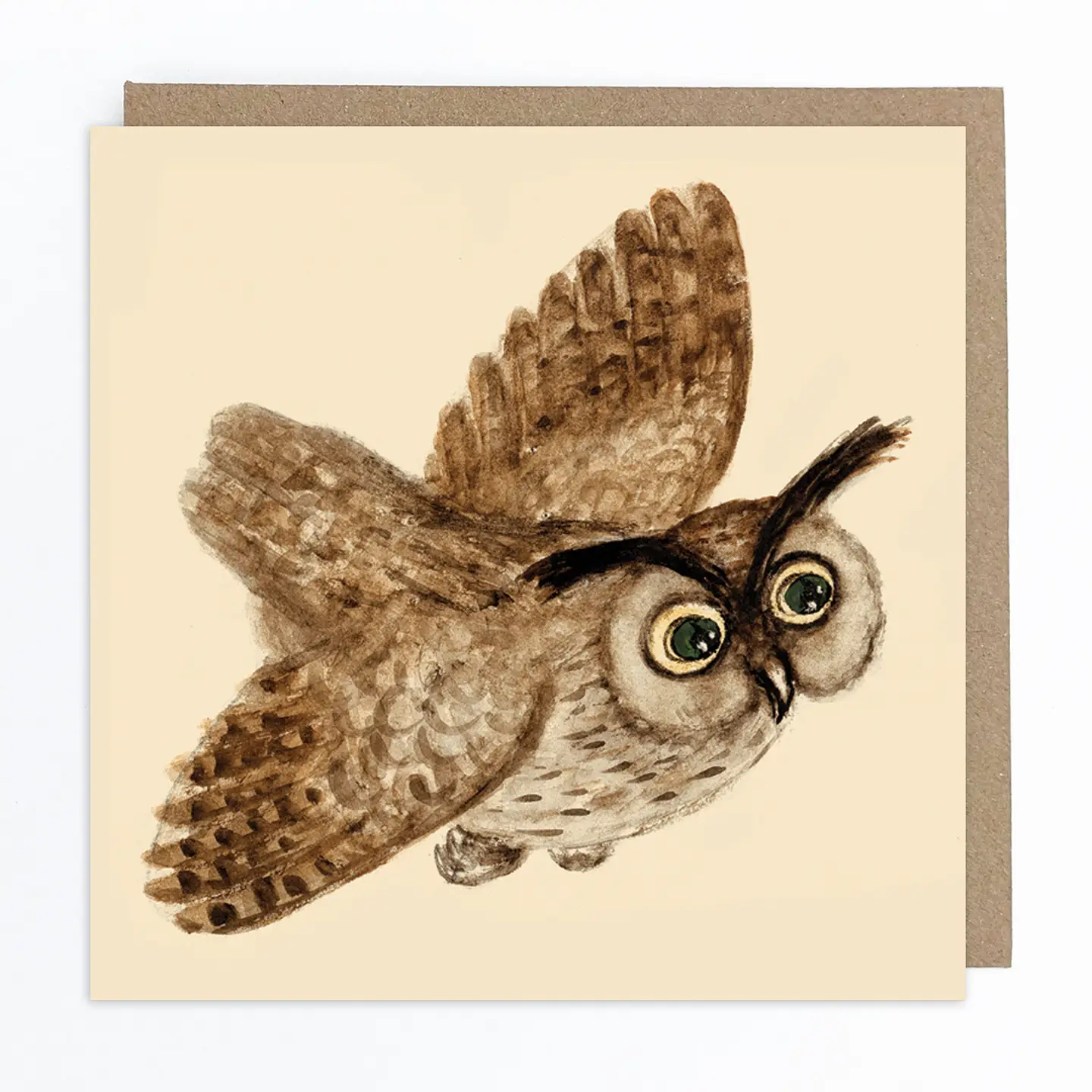 Owl Greeting Card