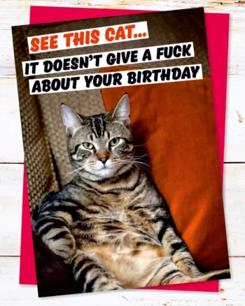 See This Cat. It Doesn’t Give A F*** About Your Greeting Card