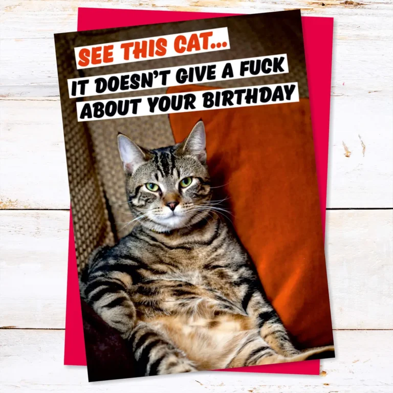 See This Cat. It Doesn't Give A F*** About Your Greeting Card