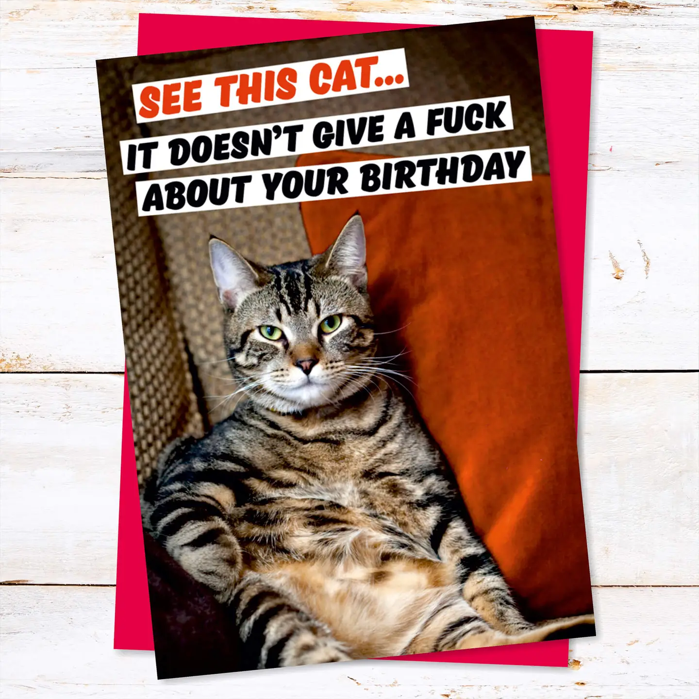 See This Cat. It Doesn’t Give A F*** About Your Greeting Card