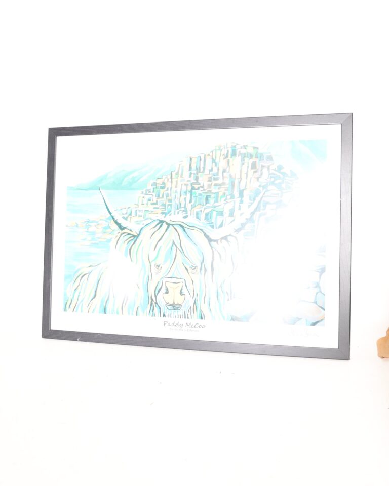 Steven Brown Paddy McCoo Collector Edition Framed Print