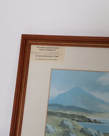 Framed Wee Rest Connemara Lithograph Print by D Todd