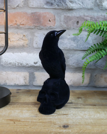 Black Flocked Crow On Skull Gothic Decorative Ornament