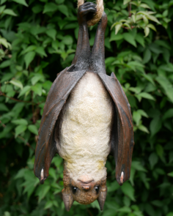 Novelty Hanging Bat Decorative Figure with Rope Hanger