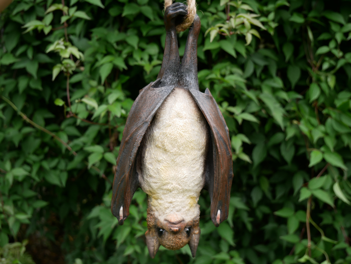 Novelty Hanging Bat Decorative Figure with Rope Hanger