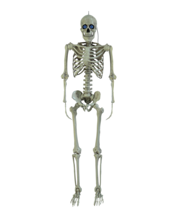 Poseable Skeleton with Battery-Operated Digiteyes (1.5m)
