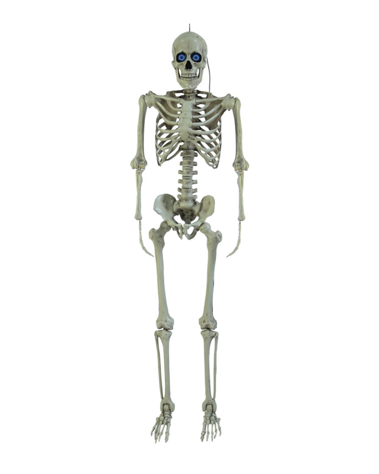 Poseable Skeleton with Battery-Operated Digiteyes (1.5m)