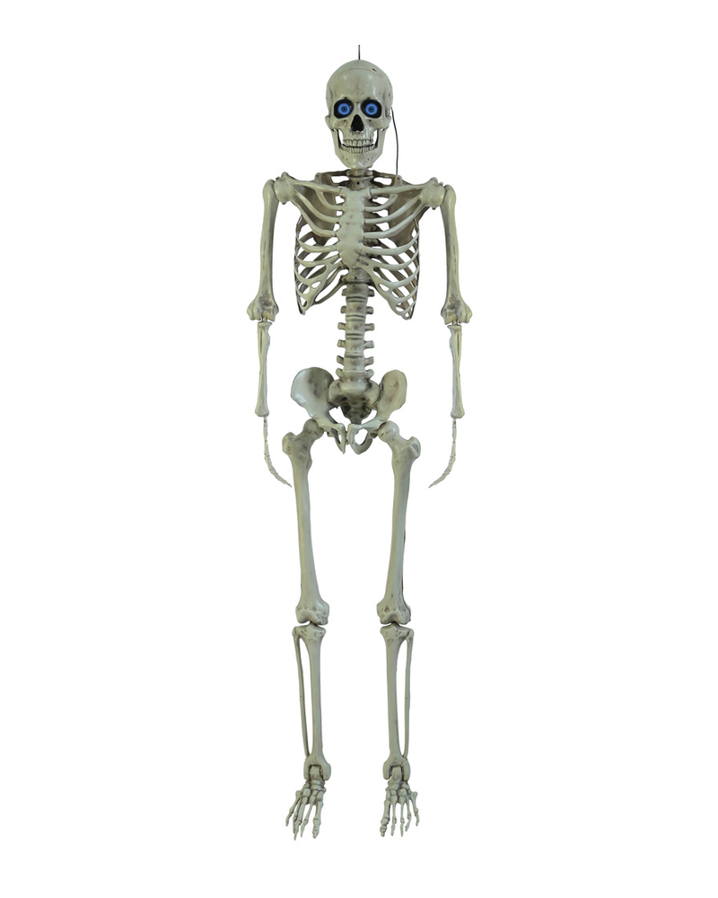 Poseable Skeleton with Battery-Operated Digiteyes (1.5m)