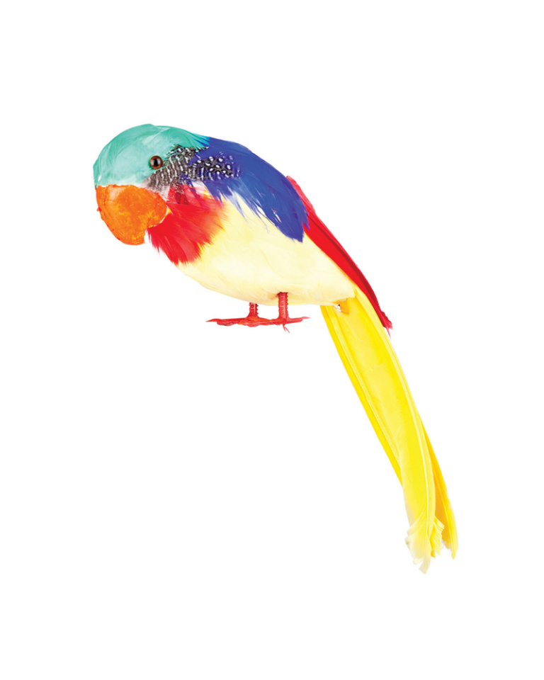 Colourful Feather Parrot Prop (30cm)