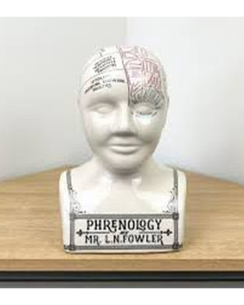 Temerity Jones Phrenology Porcelain Bust
