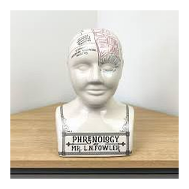 Temerity Jones Phrenology Porcelain Bust
