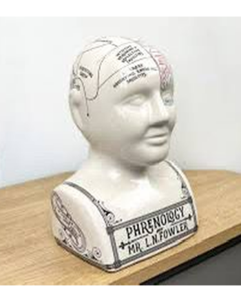 Temerity Jones Phrenology Porcelain Bust
