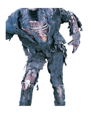Zombie Arm & Thigh Wound Costume Set