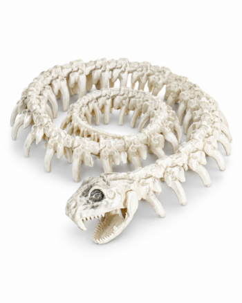 Creepy Snake Skeleton Animal Skeleton Halloween Decoration