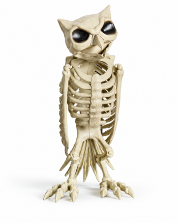 Spooky Owl Skeleton Halloween Prop Decoration