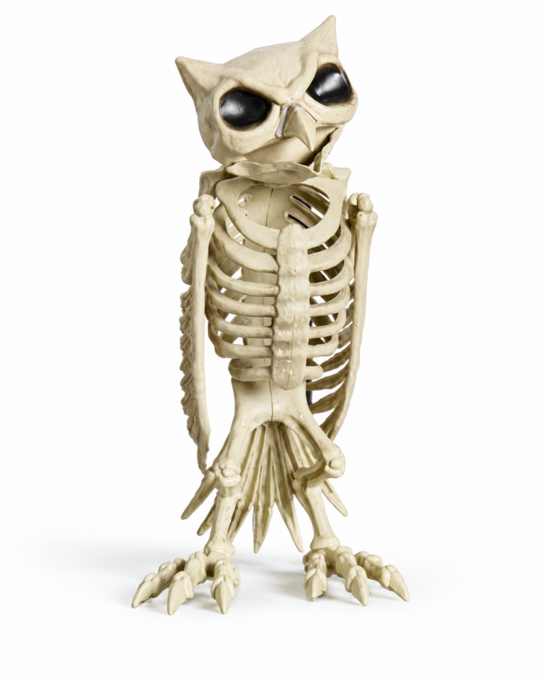 Spooky Owl Skeleton Halloween Prop Decoration
