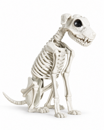 Creepy Dog Skeleton Halloween Decoration