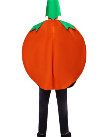 Pumpkin Adult Halloween Fancy Dress Costume