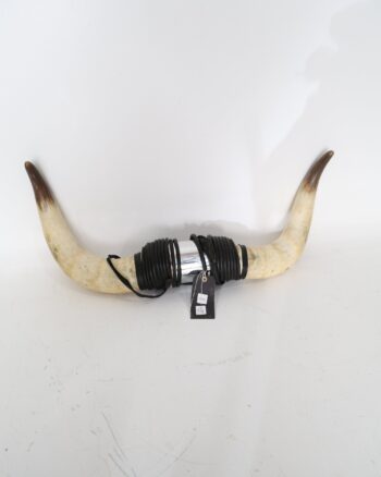 Mounted Steer Horns with Leather Wrap and Metallic Centerpiece