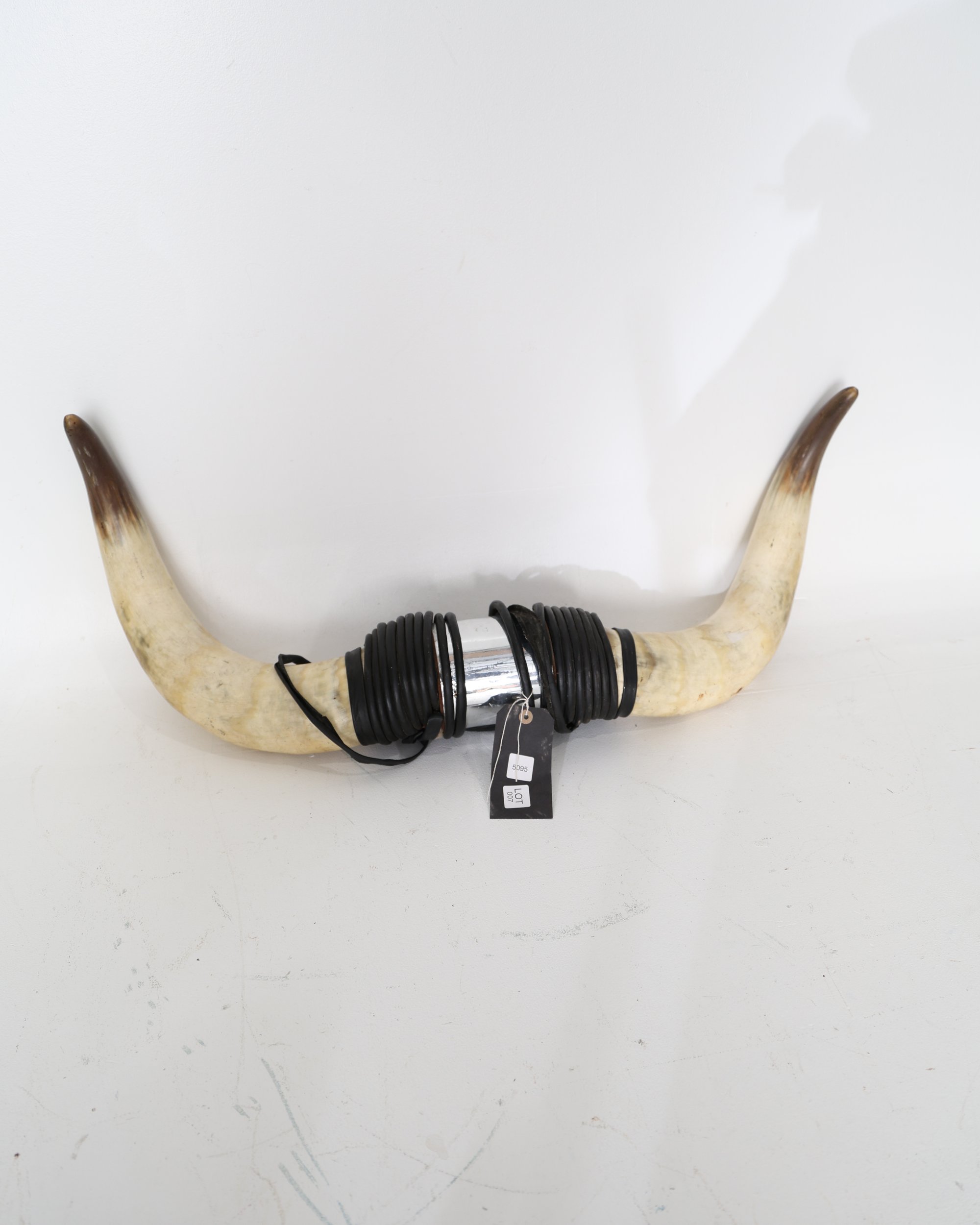 Mounted Steer Horns with Leather Wrap and Metallic Centerpiece