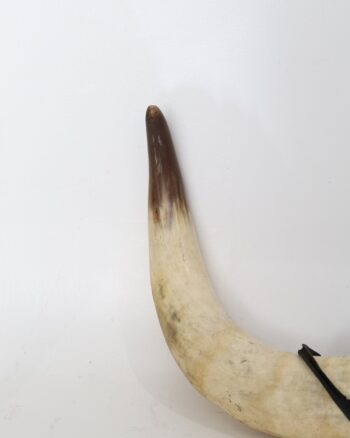 Mounted Steer Horns with Leather Wrap and Metallic Centerpiece